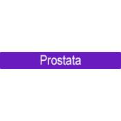 Prostatastimulering